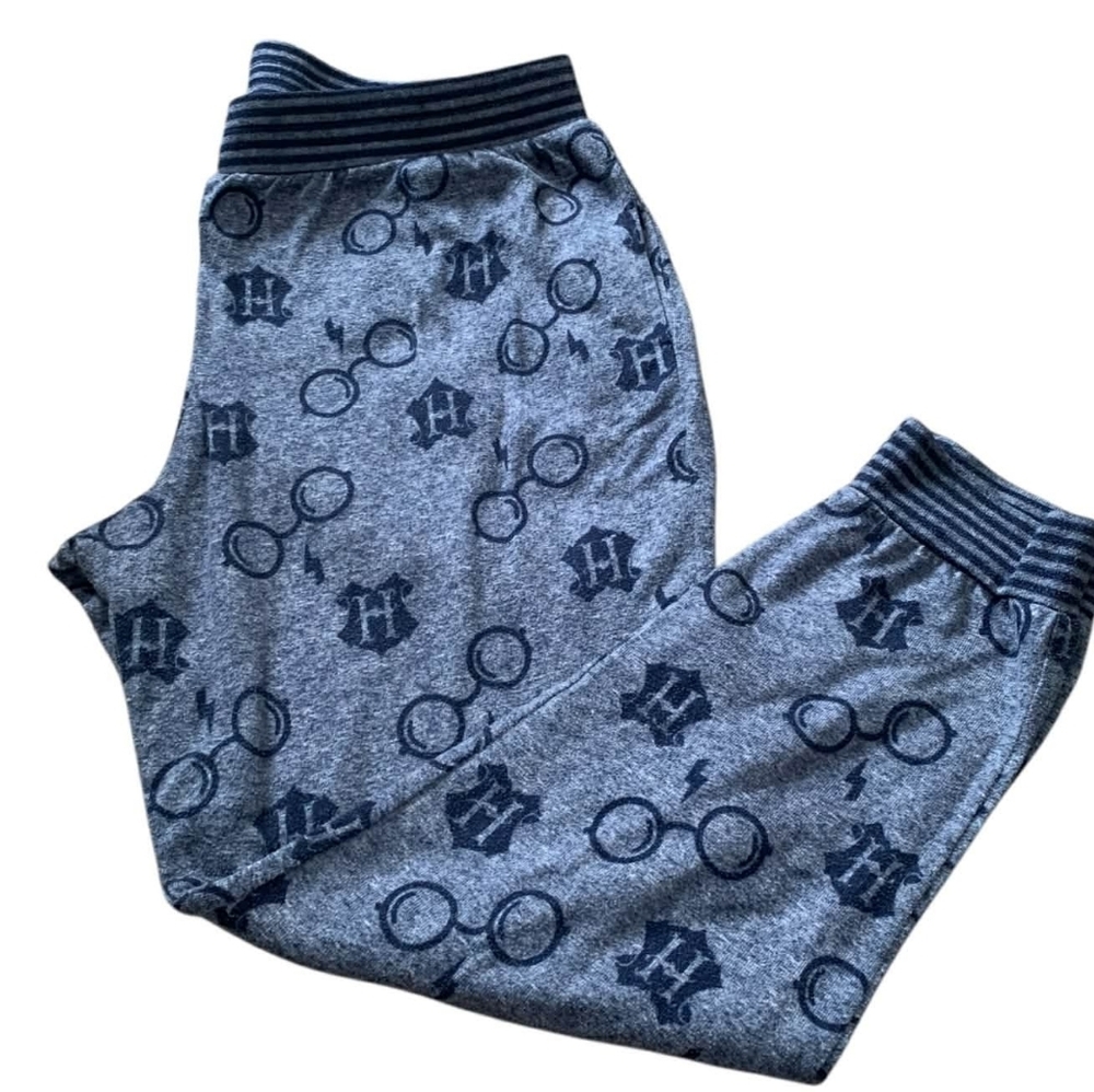 Wizarding World Harry Potter Jogger Pajama Pants‎ L Blue H Glasses
